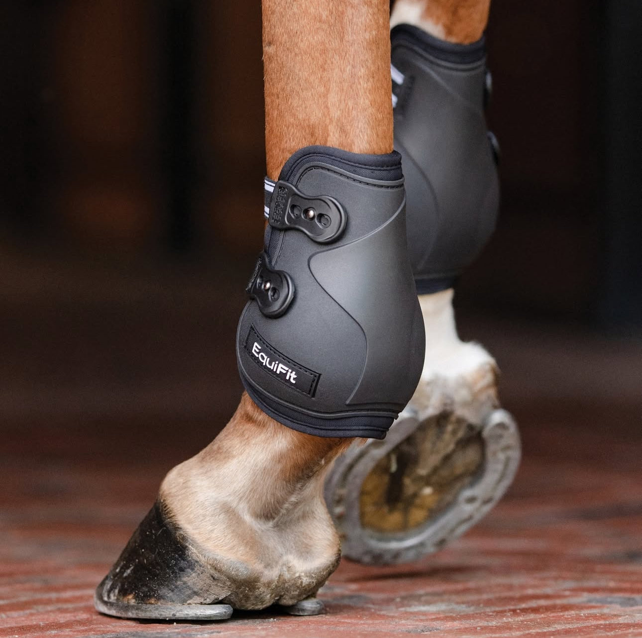 Jeereal Brushing Horse Boots - Neoprene & Leather Protective Gear For Equine Training