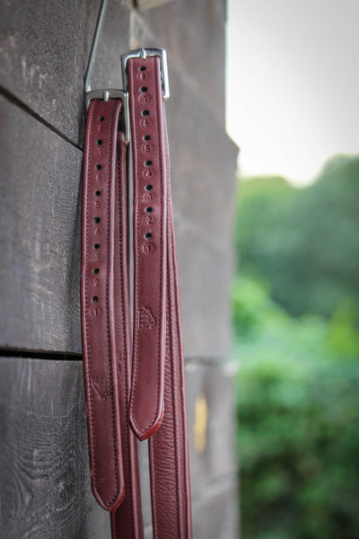 Leather Stirrup Straps