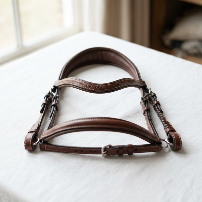 Jumping Bridles Australia - How to Choose the Right One