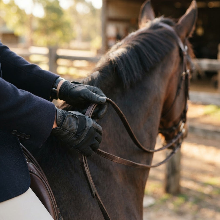 Riding gloves Australia - choosing the right pair for horse riding