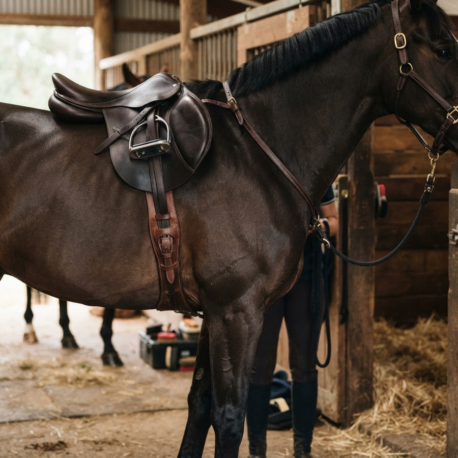 Horse girth fitting guide for Australian riders