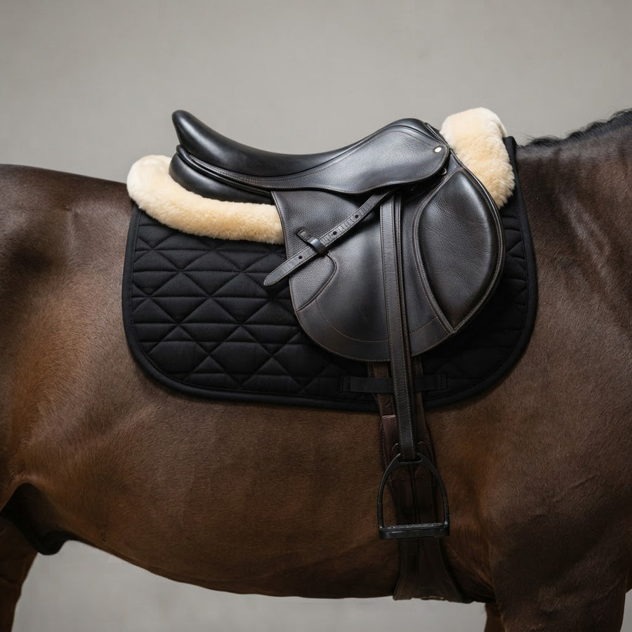 Half pads and gel pads for horses - Australian buyer guide