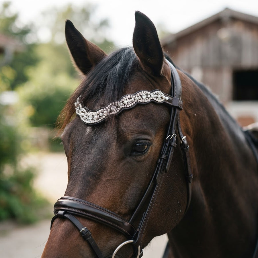 Decorated show browband with crystal and pearl on a dark leather bridle
