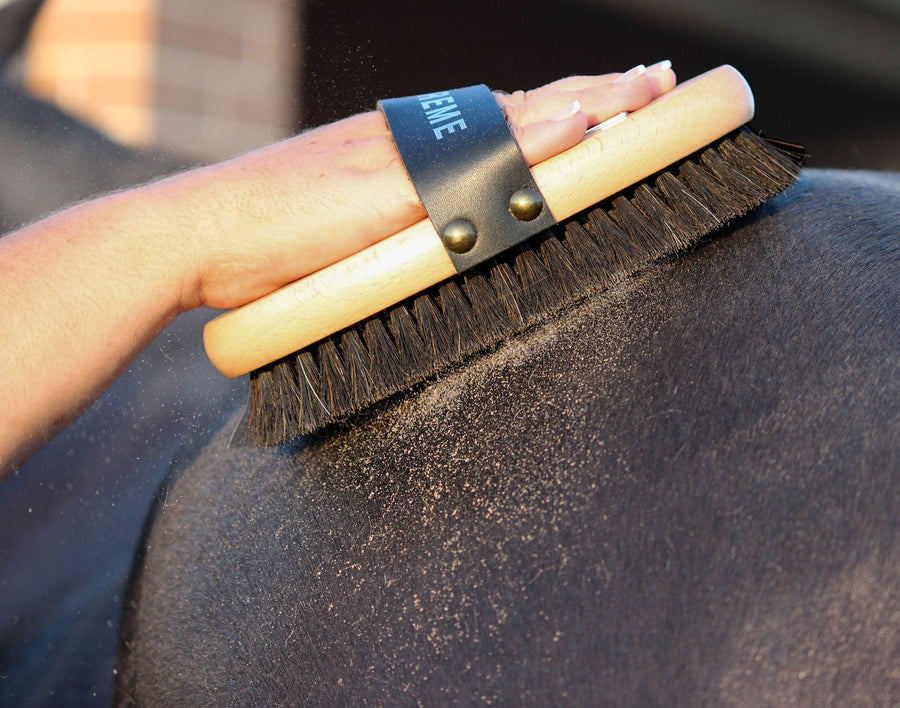 Horse grooming Australia — essential tools and techniques for Australian climate conditions