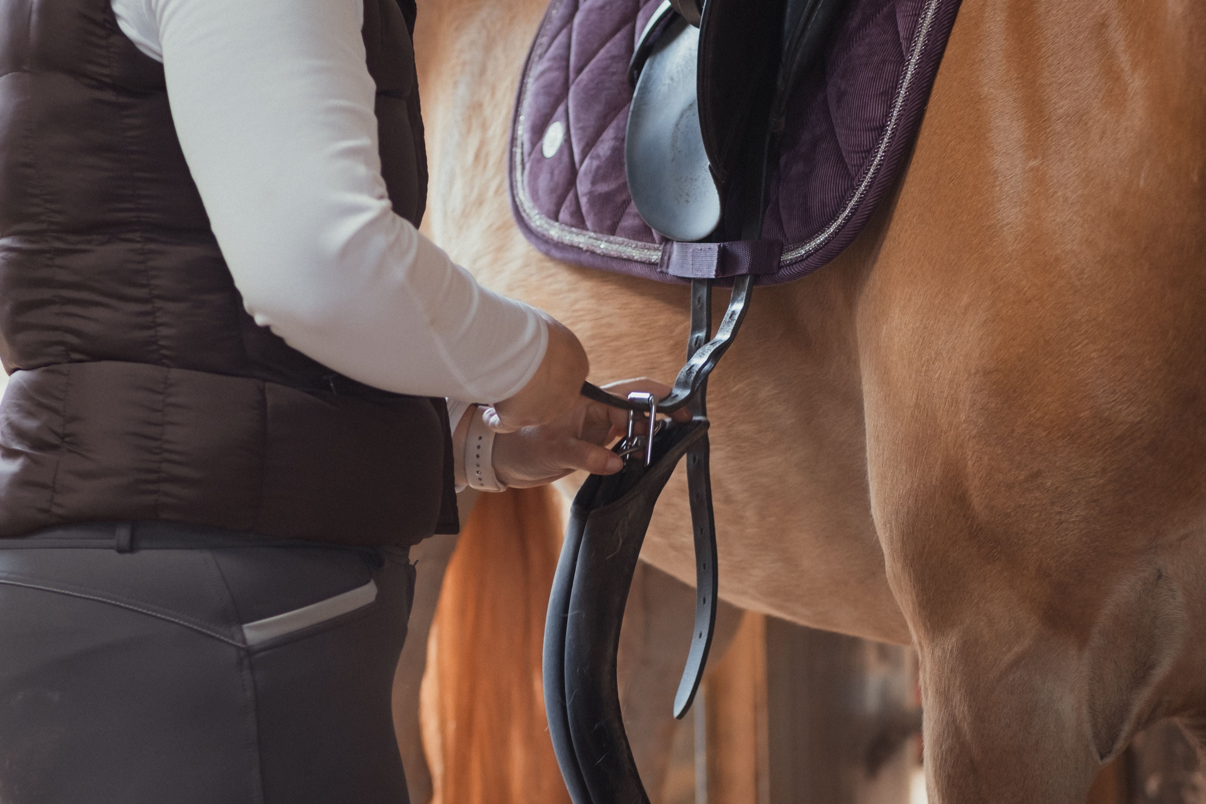 Cleaning and conditioning leather horse tack Australia — saddle and bridle care complete guide