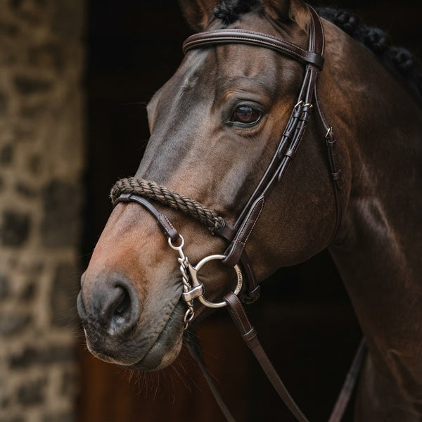 Jump'In Bits and Rope Noseband Review: French Steel, Tested