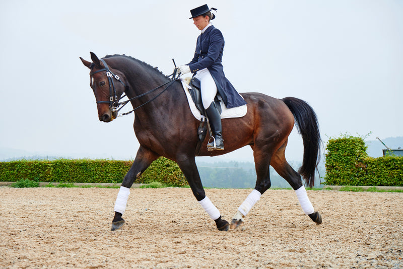 Best Saddle Pads for Dressage in Australia 2026 — Buyer's Guide