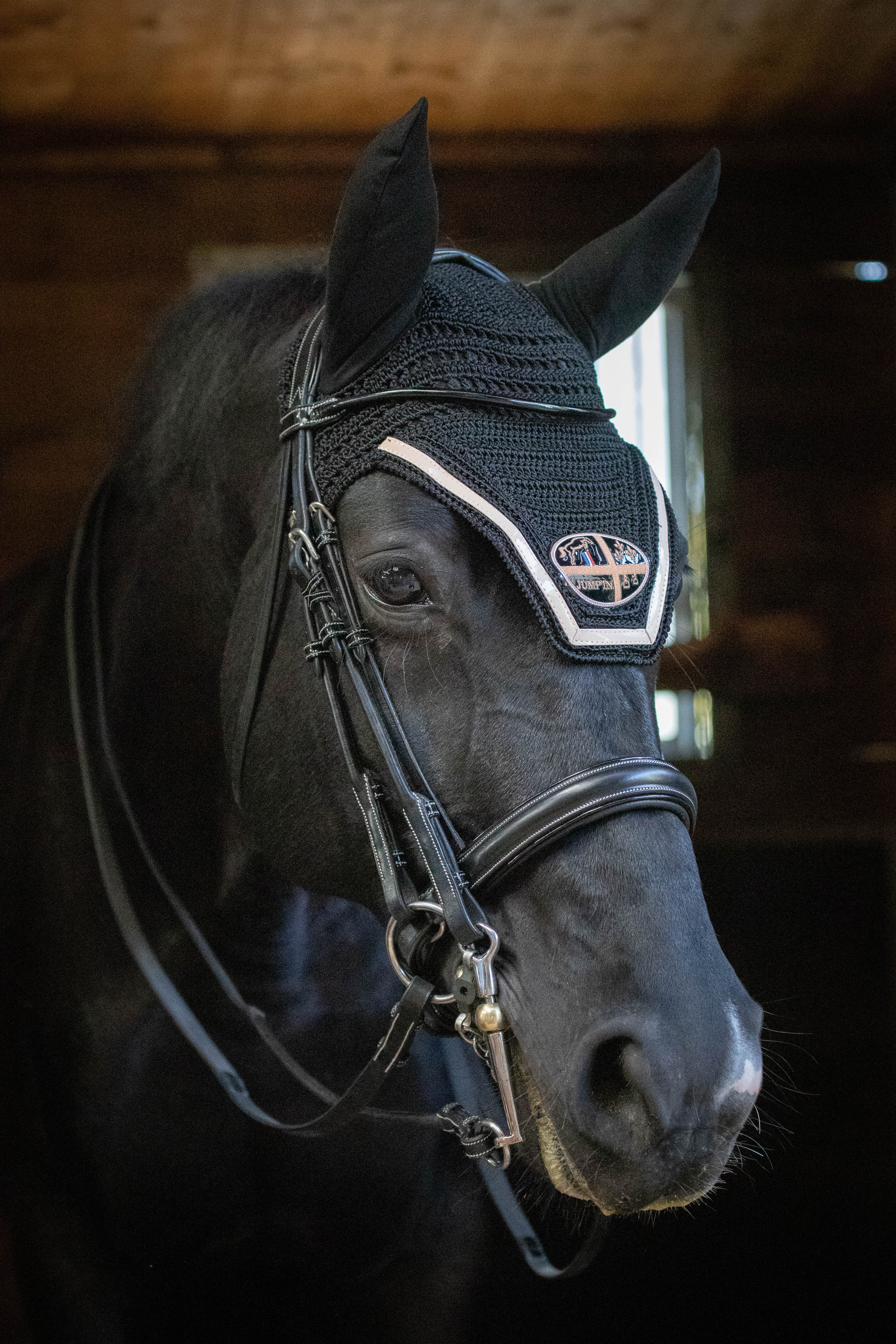 Horse bridle fitting guide Australia 2026 — leather bridles for dressage and show jumping
