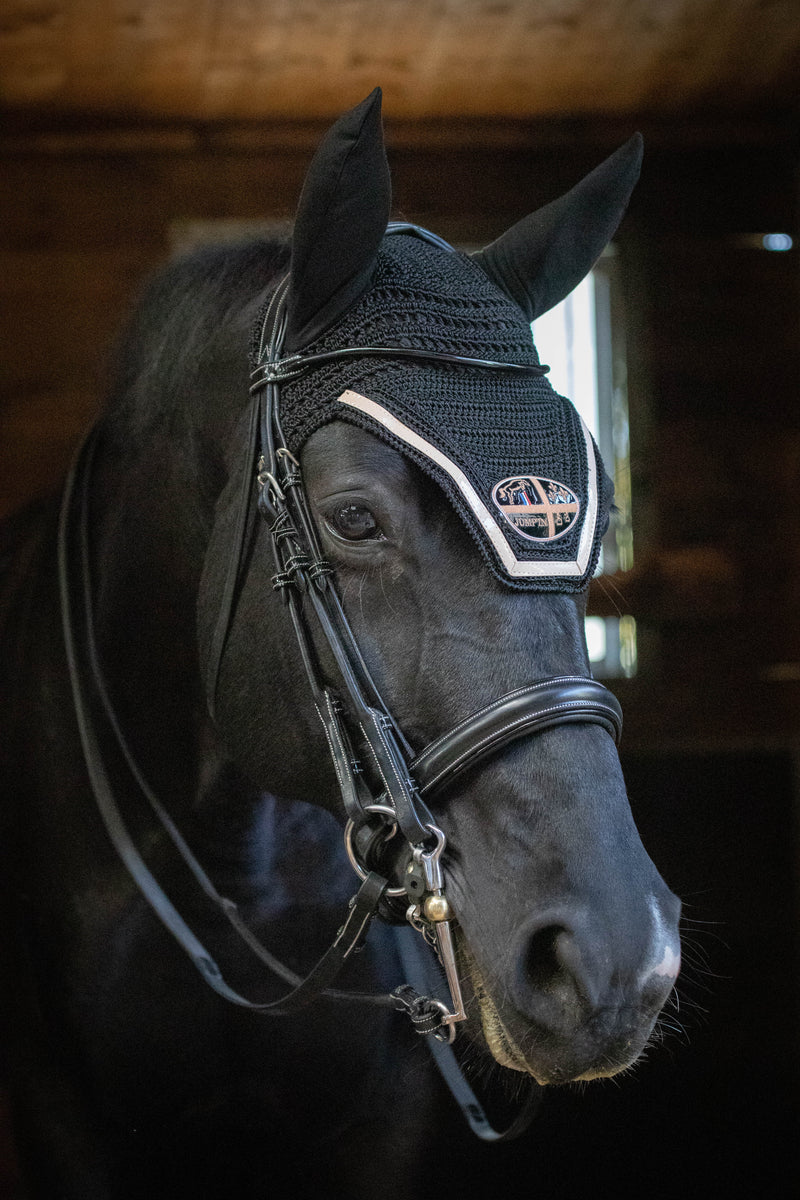 Horse Bridles Australia — The Complete Buyer's Guide (2026)
