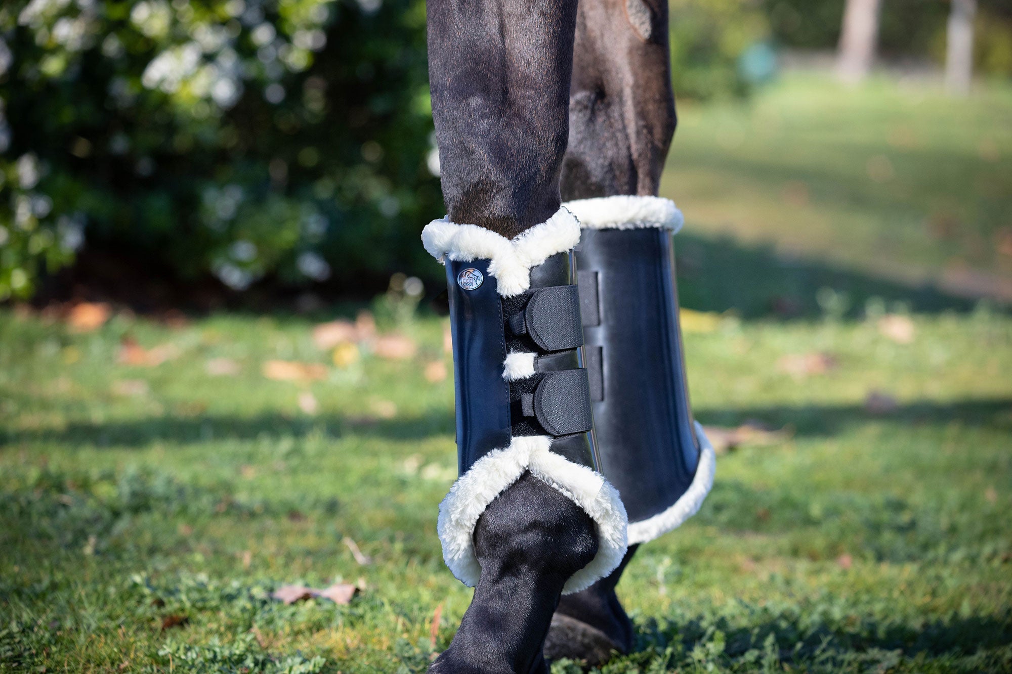 Brushing Boots