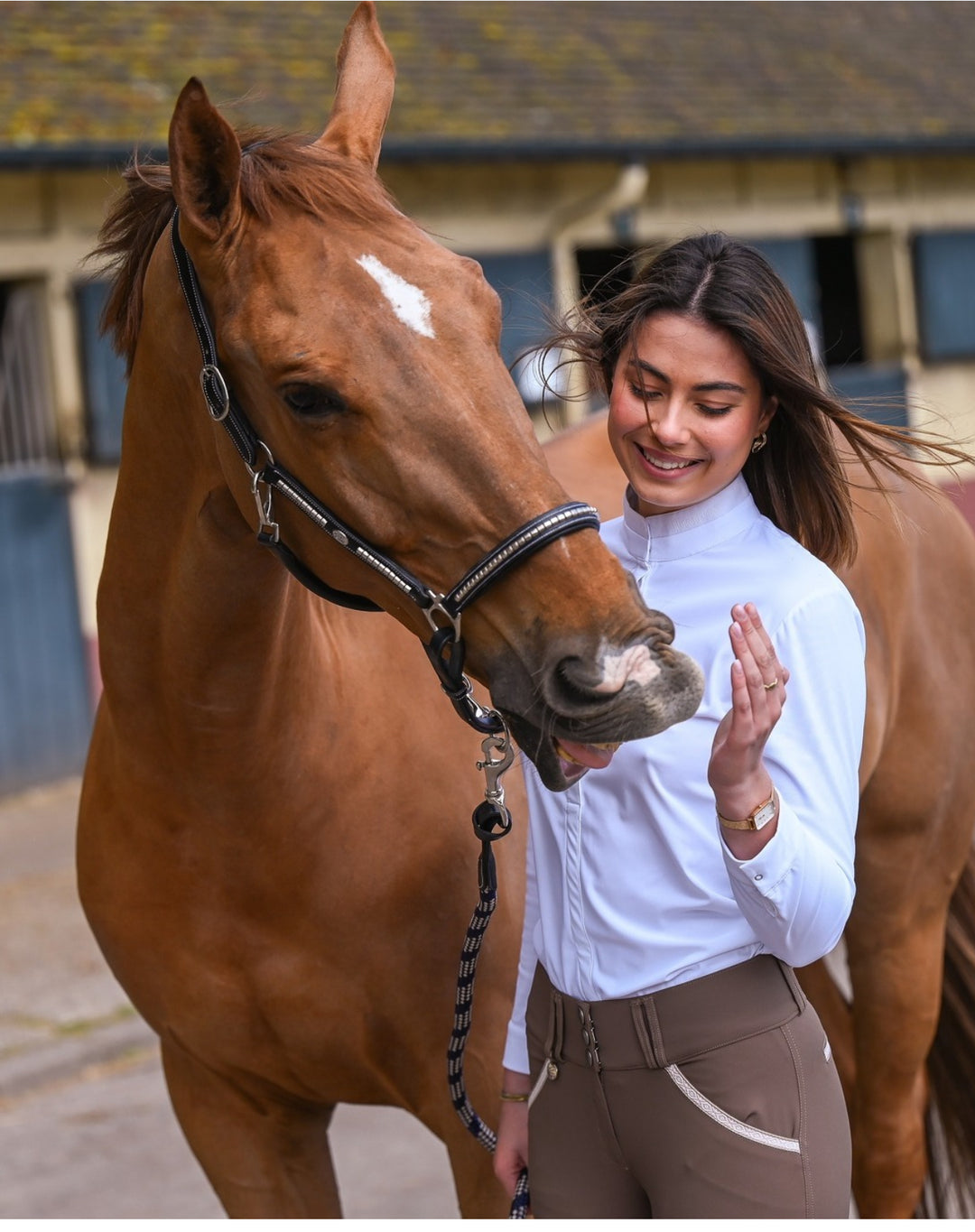 Horses