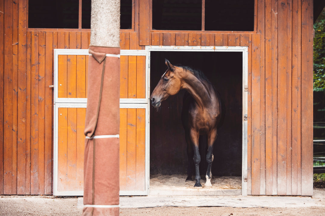 The Stables