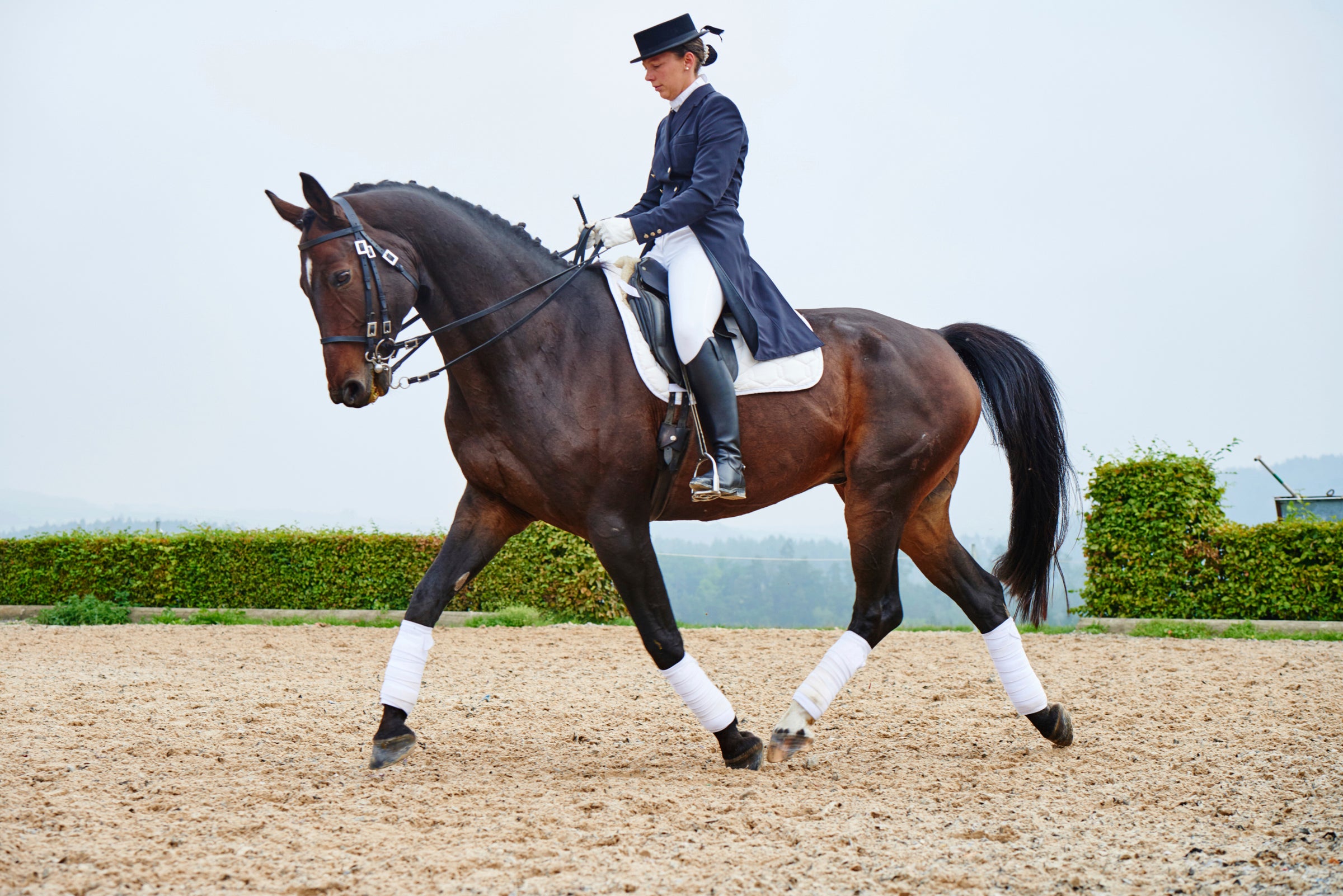 Dressage Saddle Pads