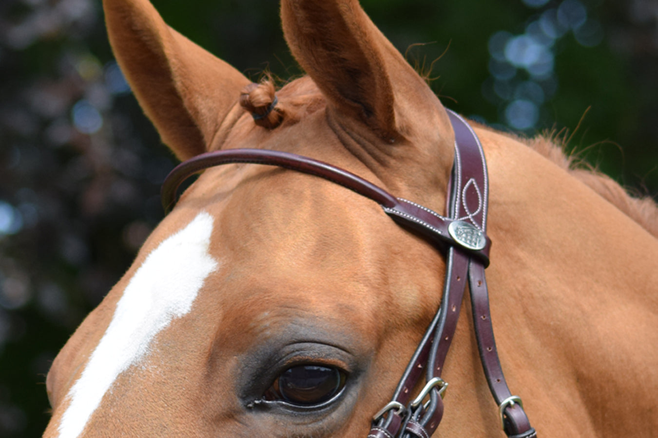 Browbands