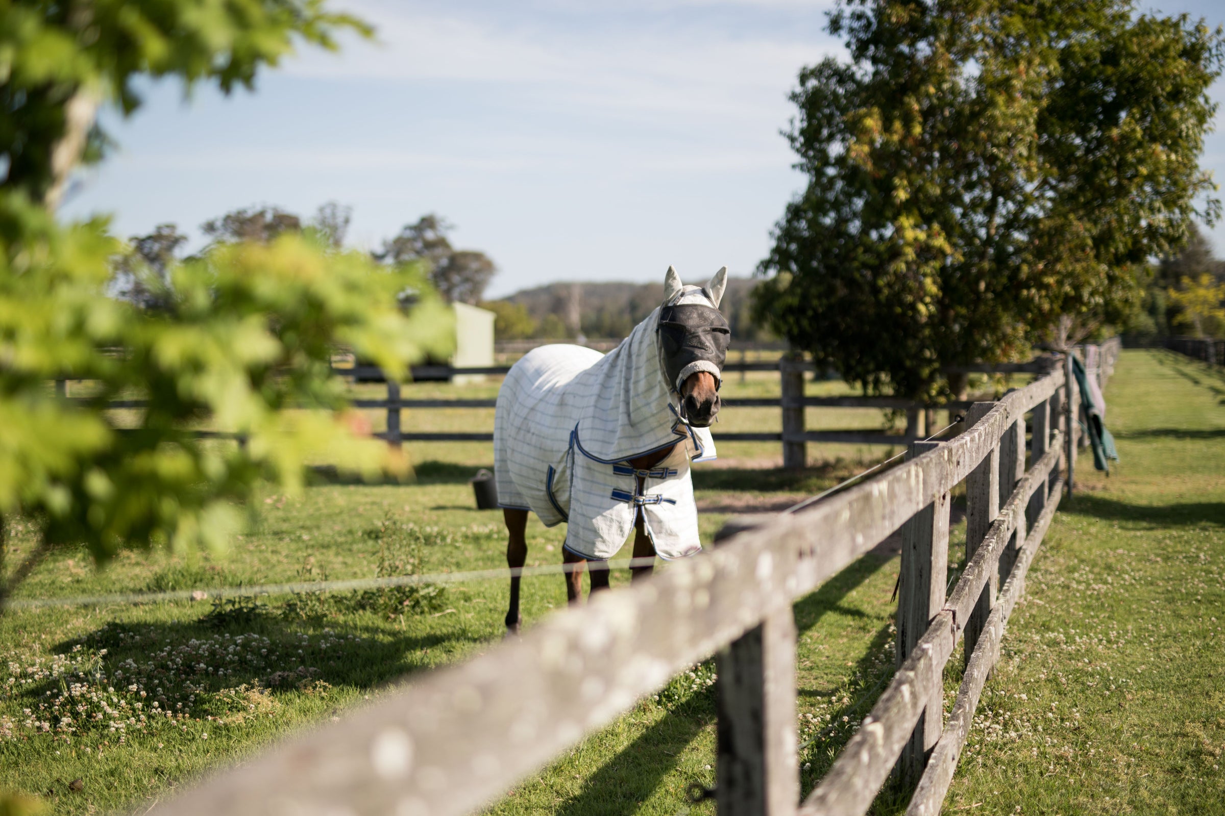 Horse Rugs & Accessories