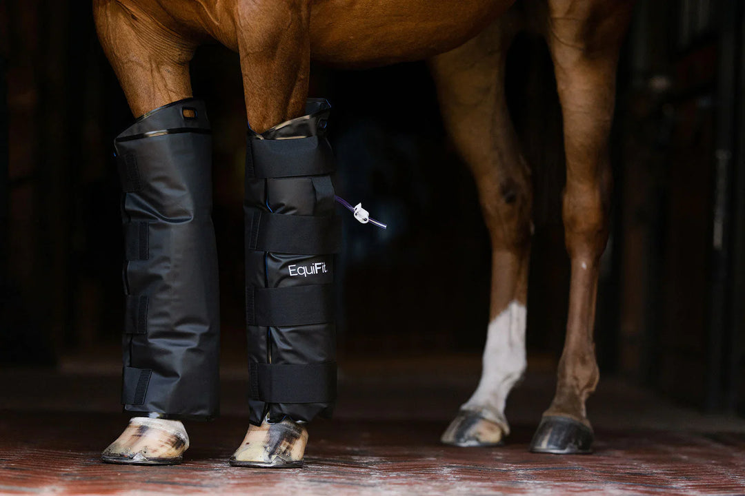Equifit