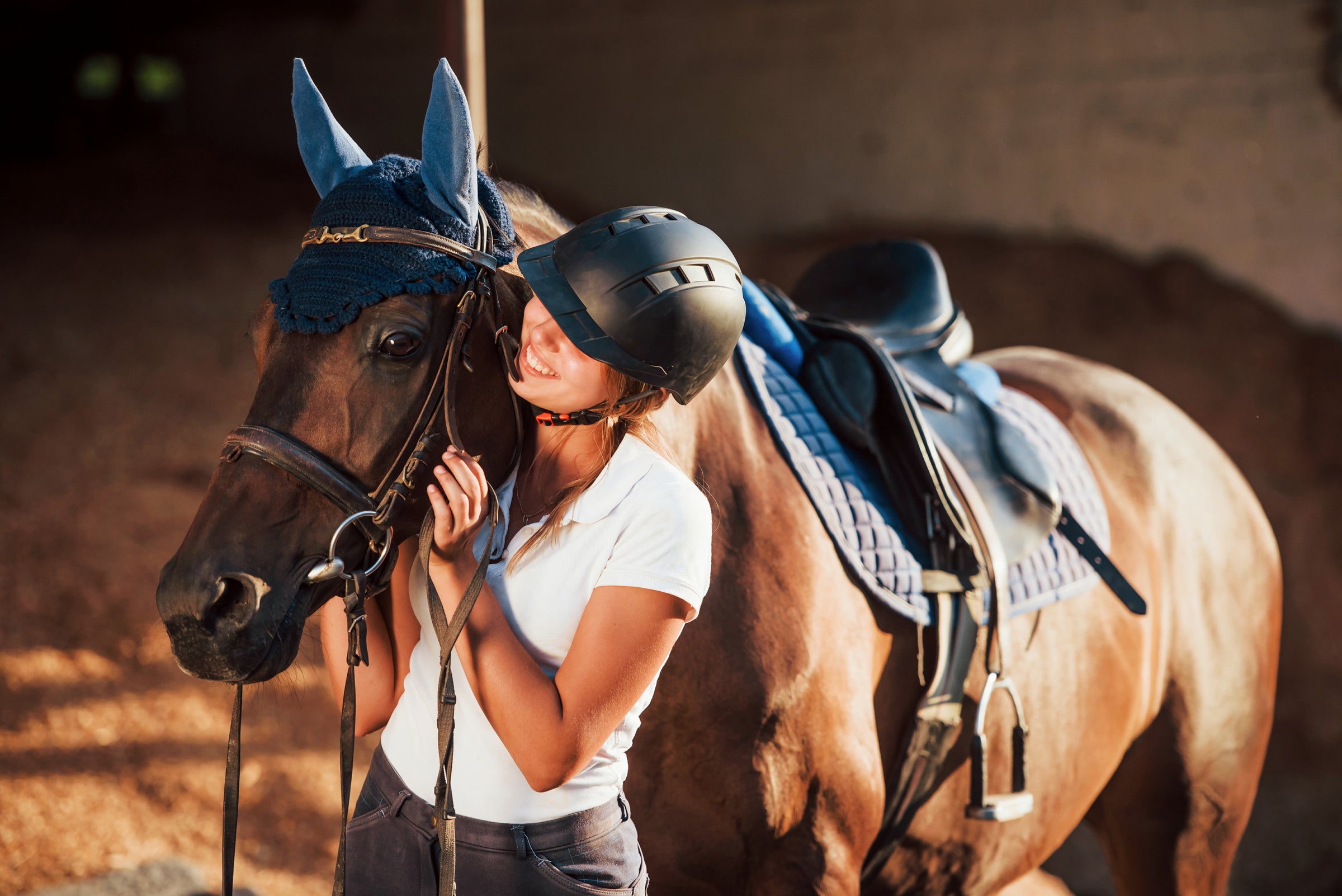 Horse Accessories