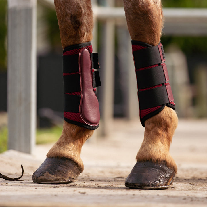 Horse legs with protective leg wraps and shoes on a wooden platform.