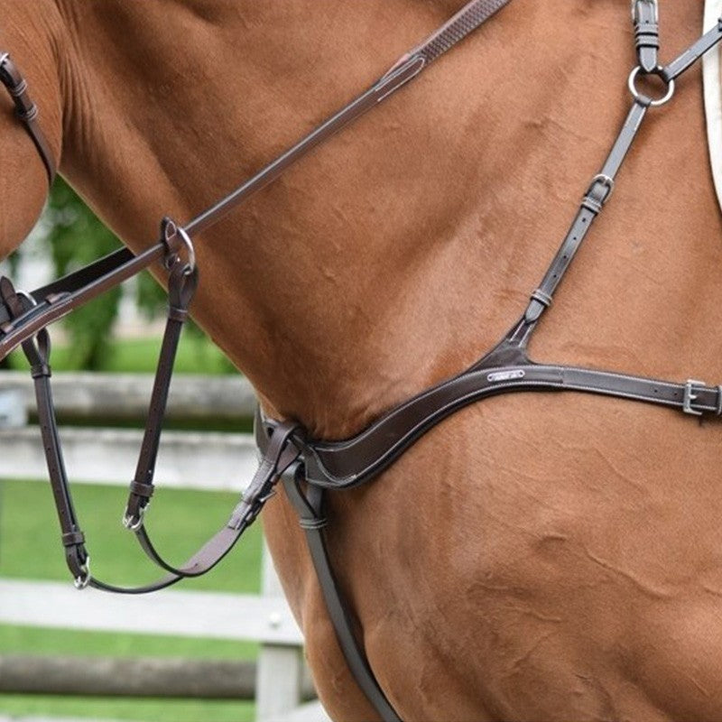 2 in 1 Breastplate and Martingale