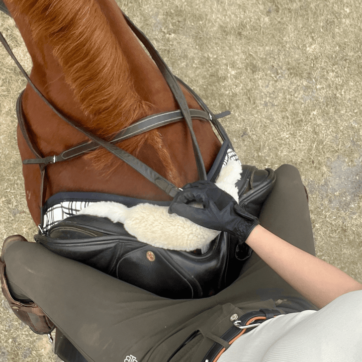 Starter Training Kit - EQUISK