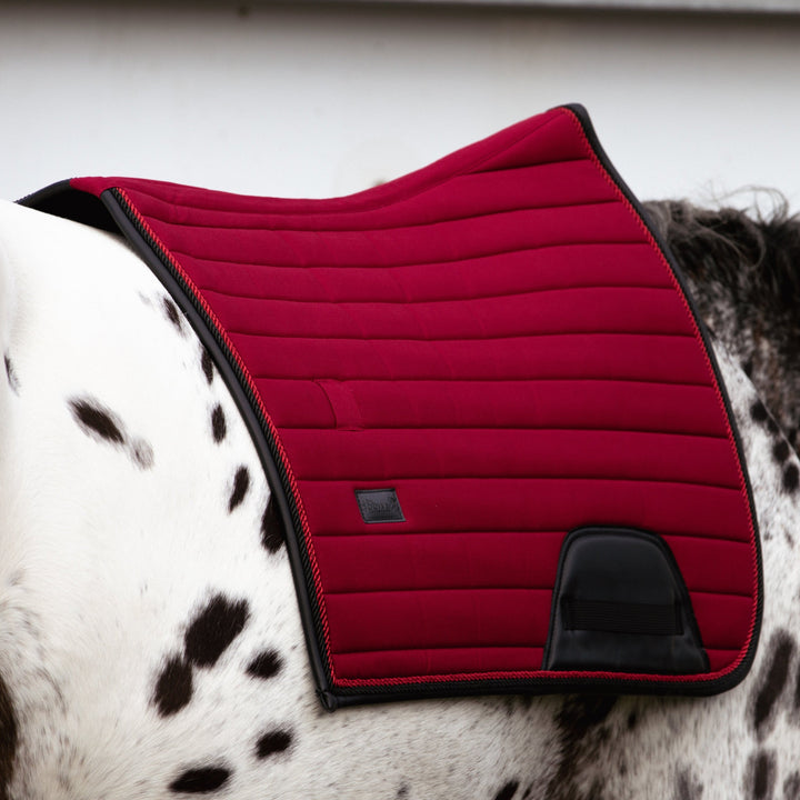 Red saddle pad on a horse with a white background