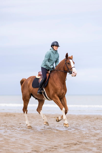Essential warm riding coat