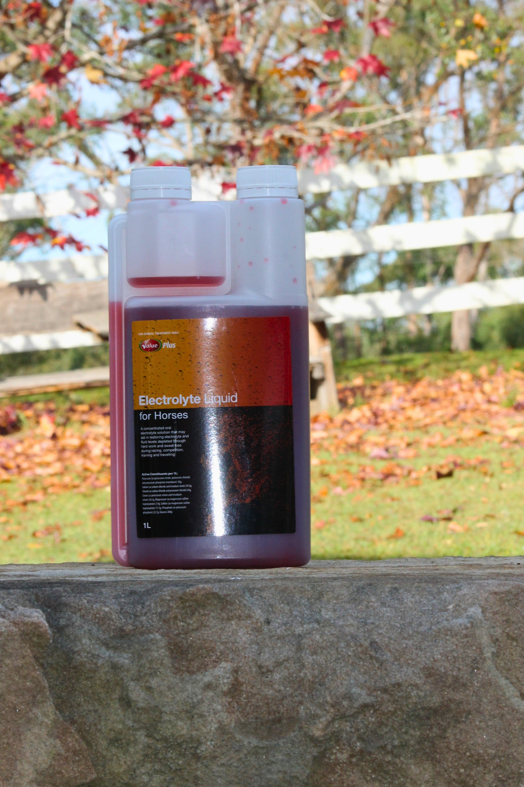 Electrolyte Liquid for Horses