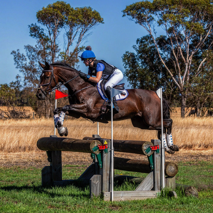 Custom Saddle Pad - Saddle Pads by Lady Godiva Equestrian - view 6