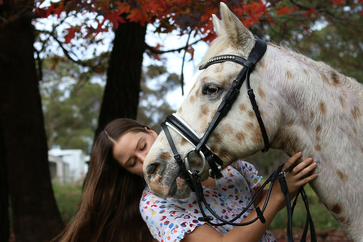 Olivia Dressage Bridle