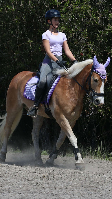 Lavender SS Seamless Performance Baselayer by Lady Godiva Equestrian - view 3