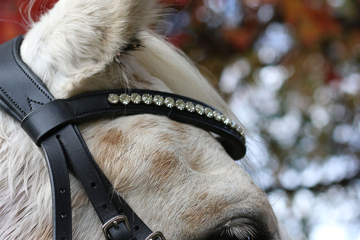 Olivia Dressage Bridle - Bridles by Lady Godiva Equestrian - view 3