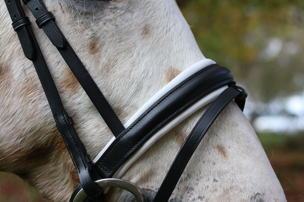 Olivia Dressage Bridle - Bridles by Lady Godiva Equestrian - view 2