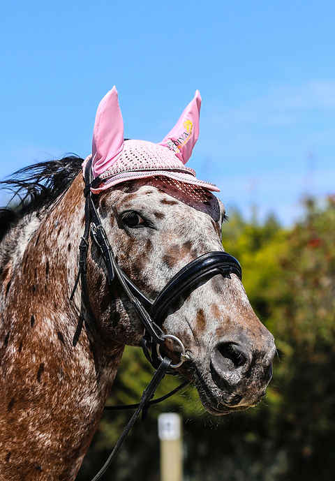 Pink Pearl Browband by Lady Godiva Equestrian - view 5