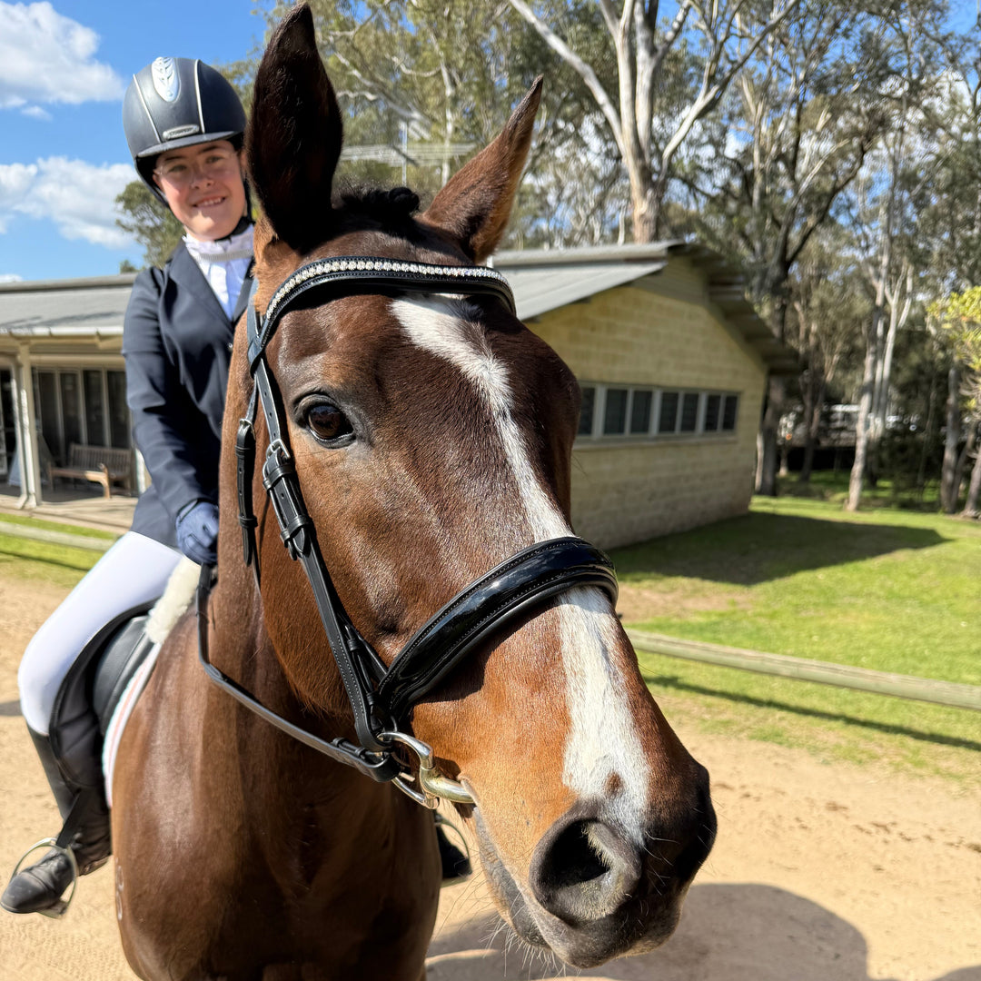 Horse with a bridle standing on a path with trees and a building in the background