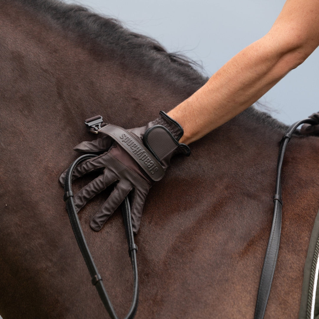Starter Training Kit - EQUISK