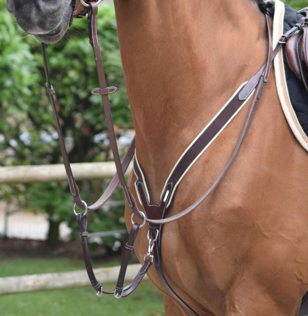 Elastic Breastplate and martingale