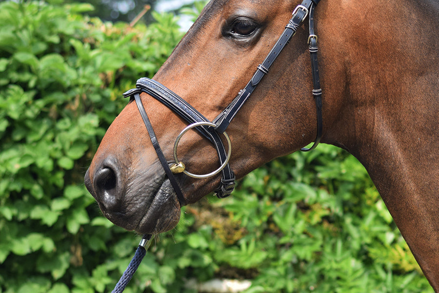 Crystal Bridle - Week Collection