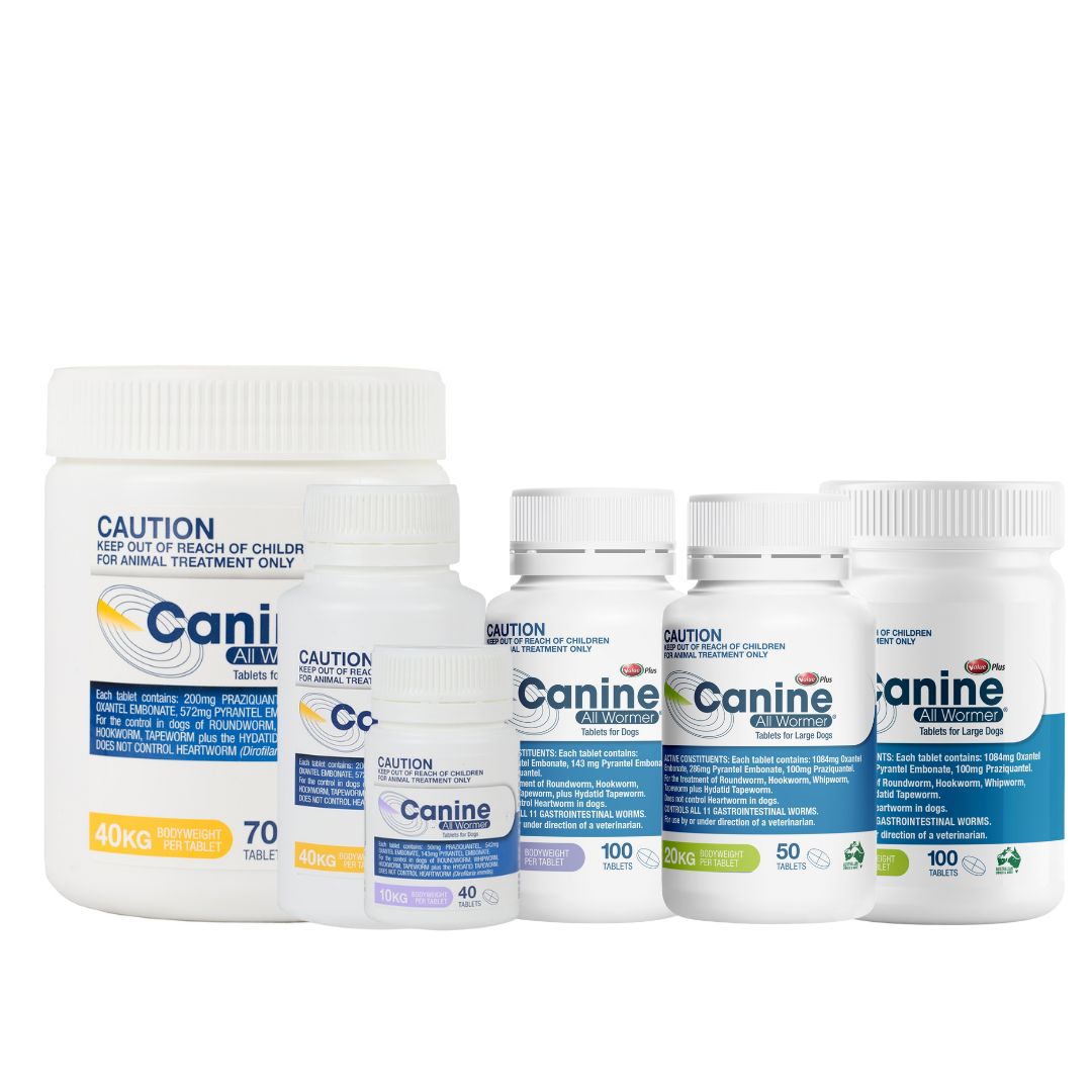 Canine All Wormer Tablets - Main Image