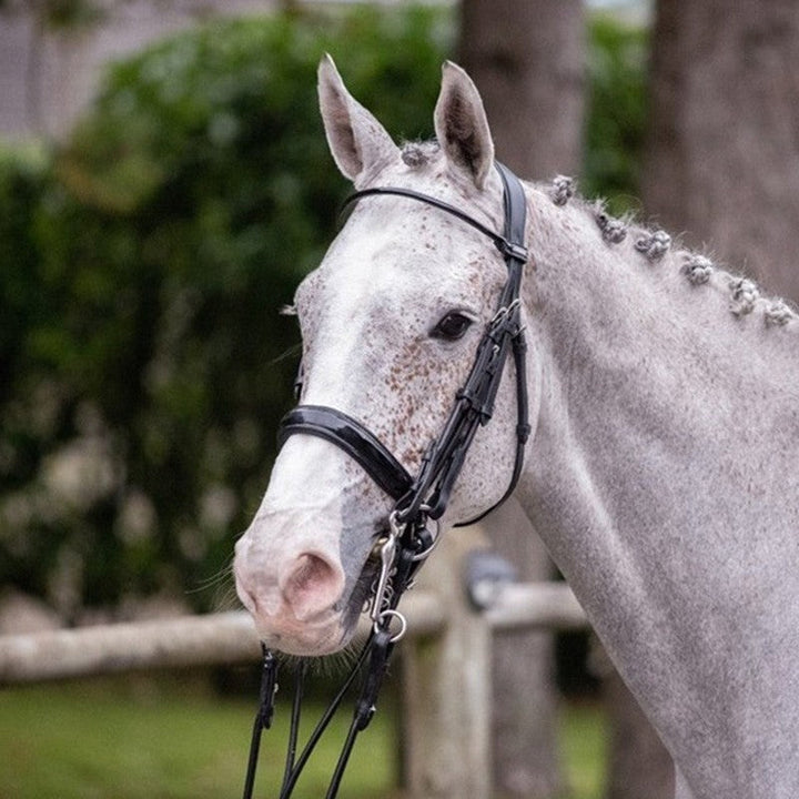 Courchevel Double Bridle - One Collection