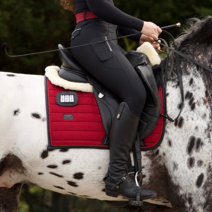 The Bellissima Saddle Pad