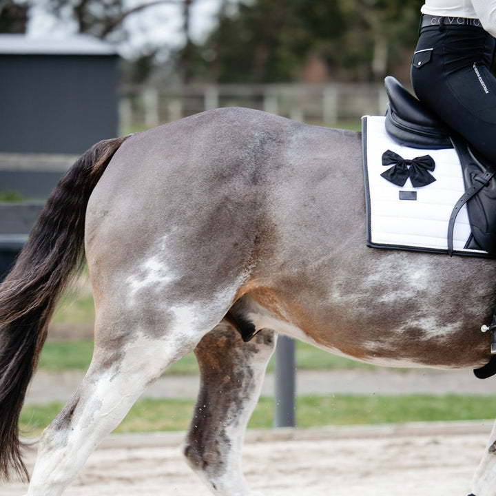 Gray horse with a rider wearing a saddle pad with a bow design on a dirt surface.
