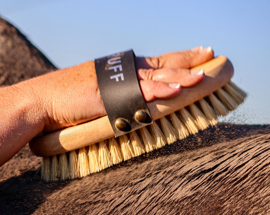 Scruff' Body Brush | By GeeGee COLLECTIVE