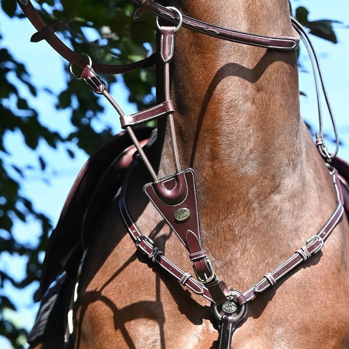 Elastic Martingale for breastplate