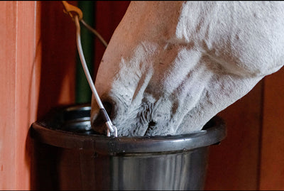 AGSILVER CLEANBUCKET