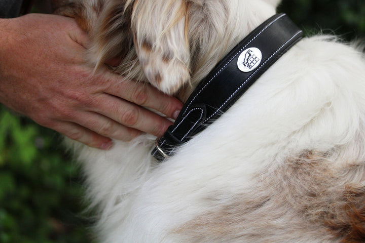 Dog Collar