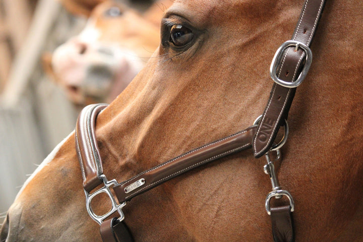 Grooming Halter - One Collection