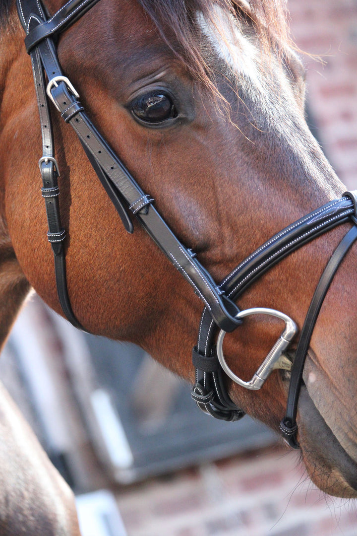 Paris Noseband - One Collection