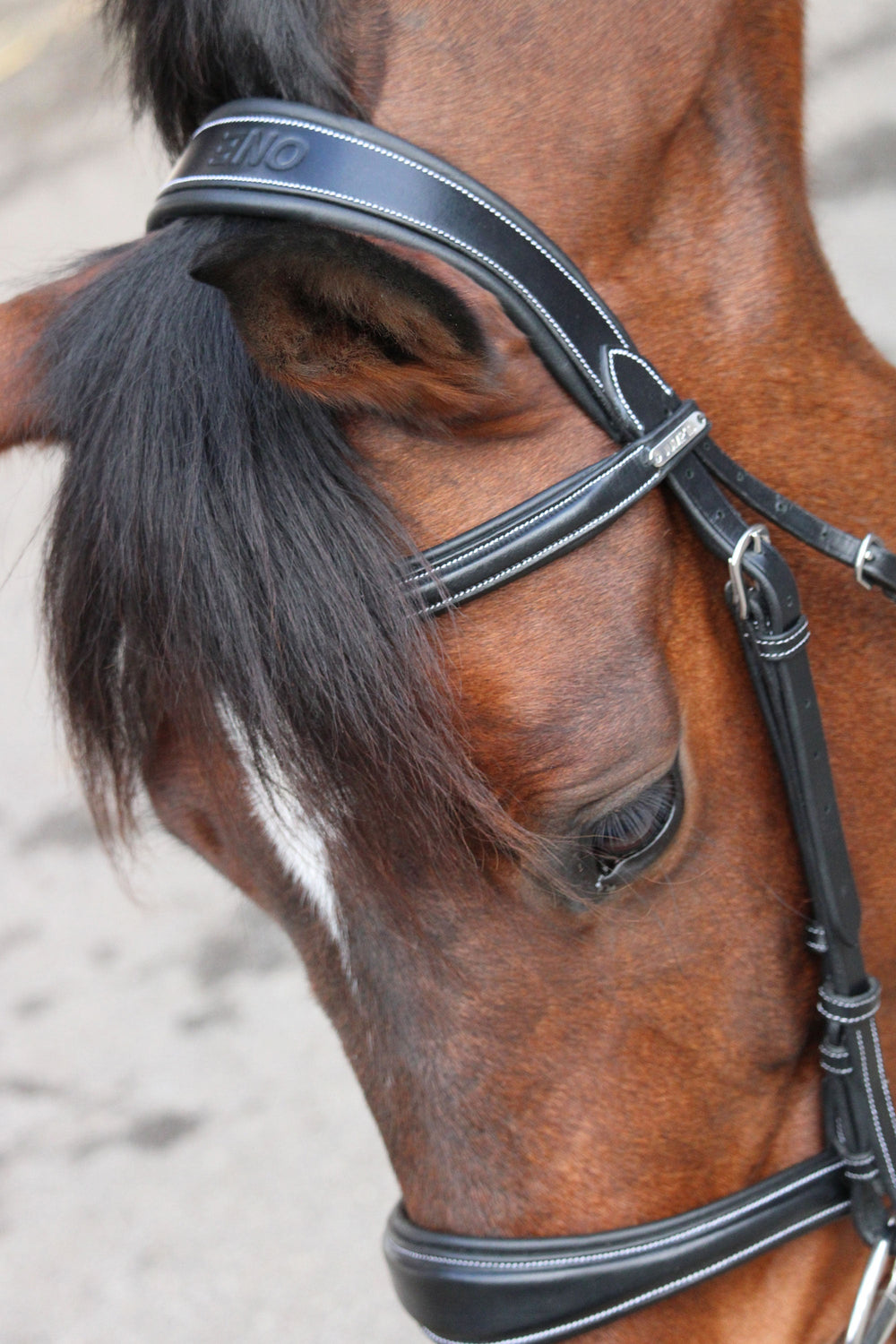 London Bridle - One Collection