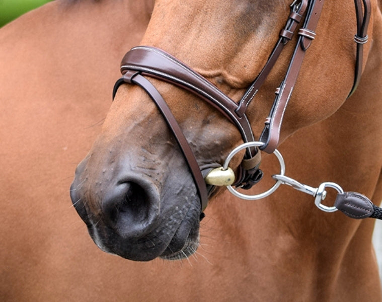 Bruxelles Noseband - One Collection