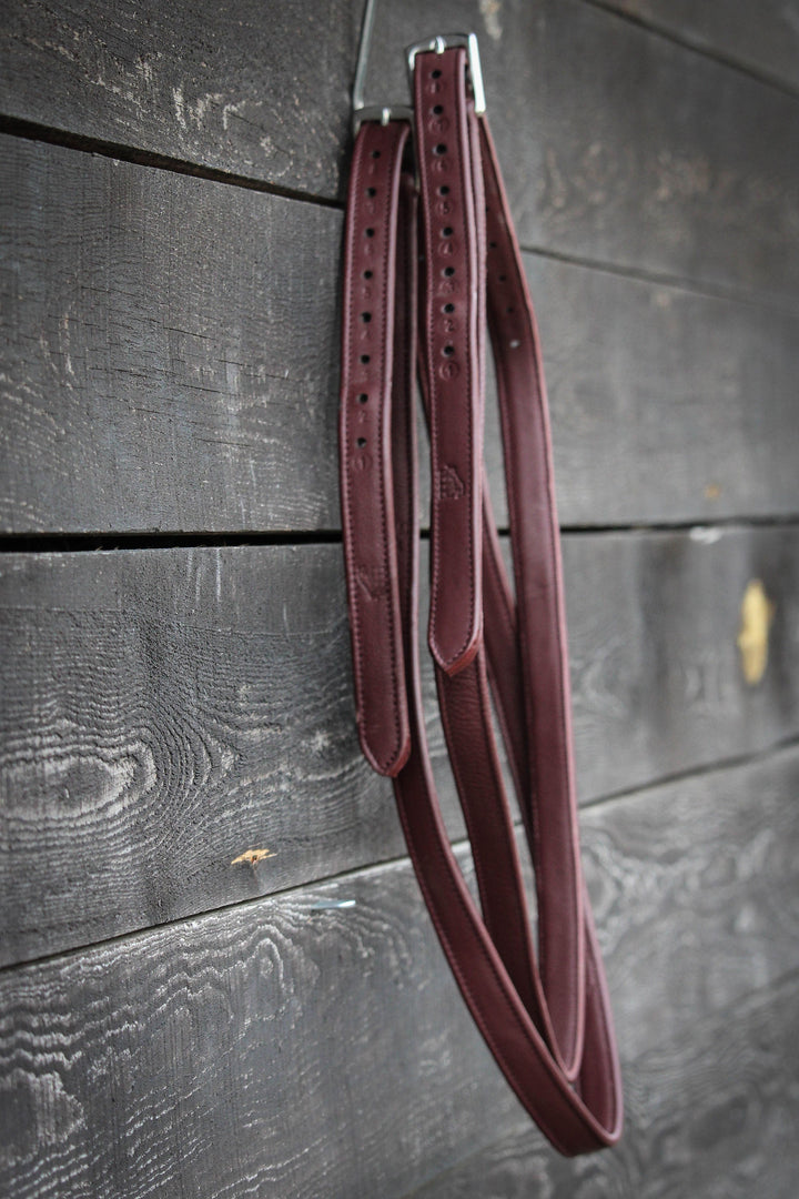 Leather Stirrup Straps